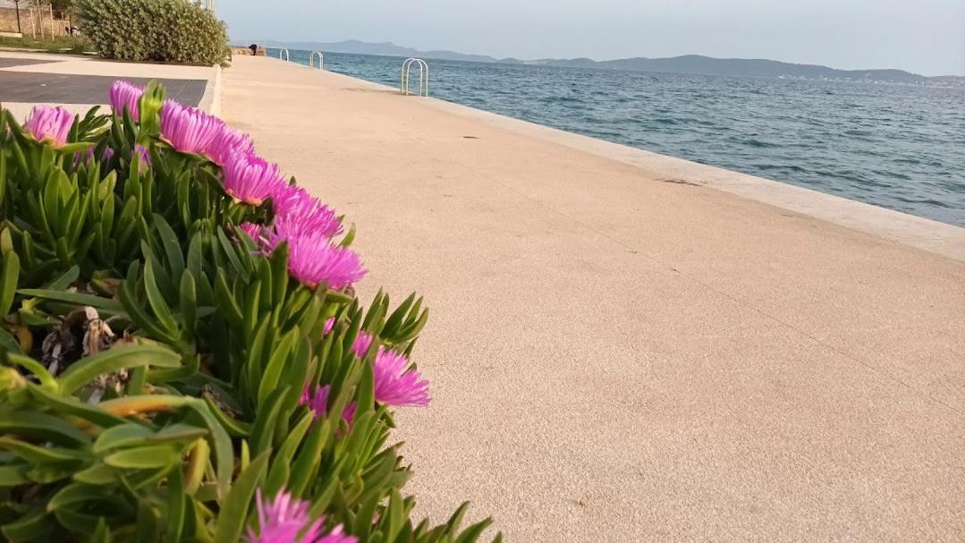 Apartman Sandra -Private Parking And Garden Zadar Luaran gambar